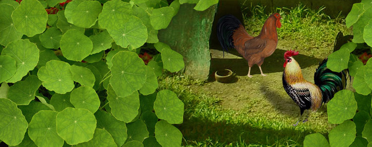 main image main image