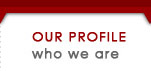 profile overview