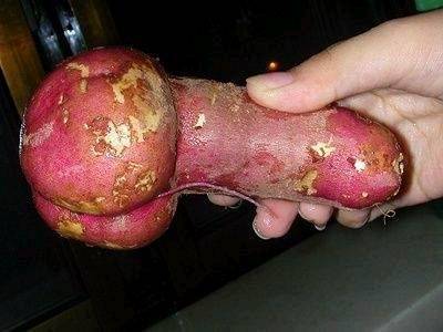 umbi