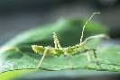 Copyright &copy; Jay photos