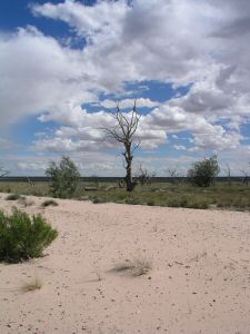 DMenindee4.JPG