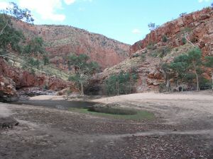 NAliceSprings11.JPG