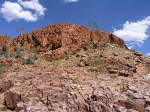 NAliceSprings12.JPG