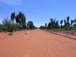 OKingsCanyon12.JPG