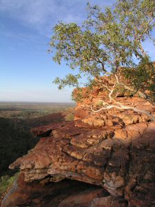 OKingsCanyon4.JPG