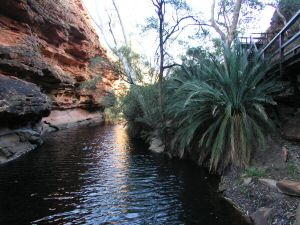 OKingsCanyon7.JPG