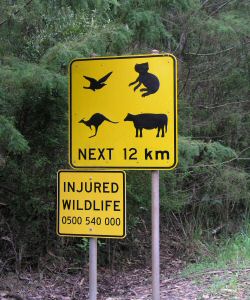 FGreatOceanRoad2.JPG