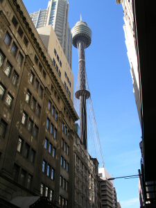 P1010250.JPG
