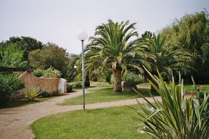 Les alentours du bungalow