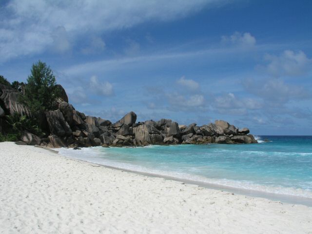 P1010079.JPG