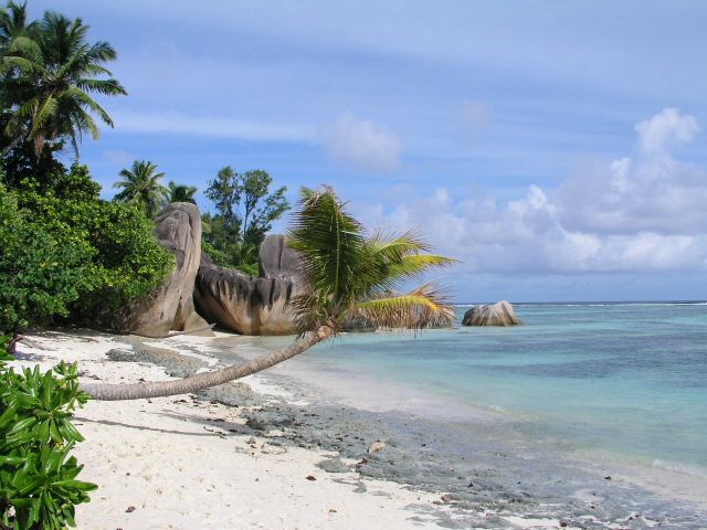 P1010103.JPG