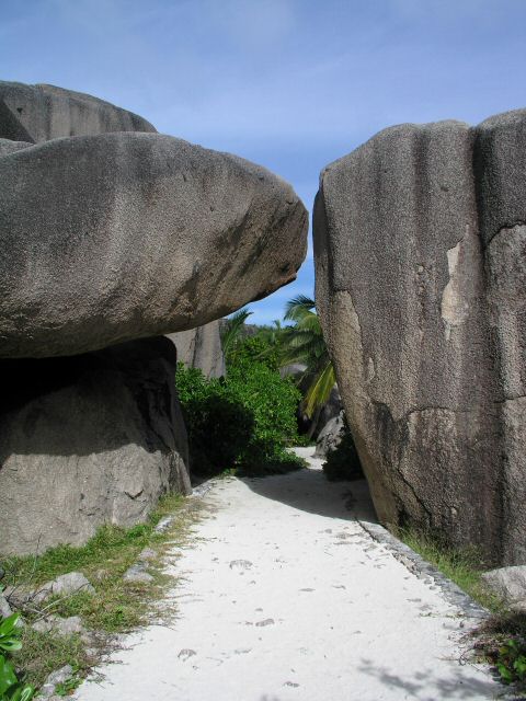 P1010105.JPG