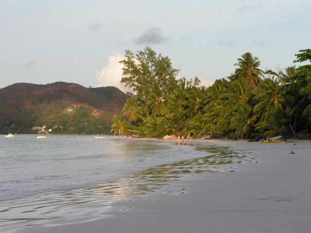 P1010199.JPG