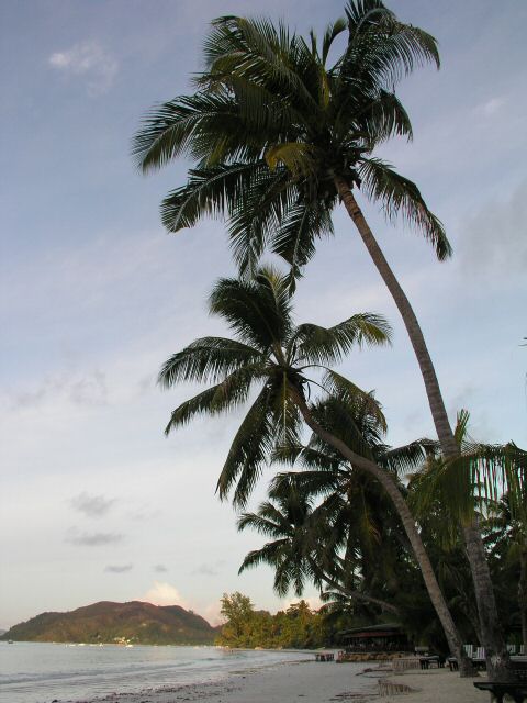 P1010202.JPG