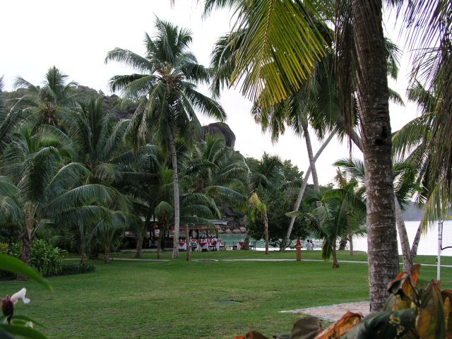 P1010216.JPG