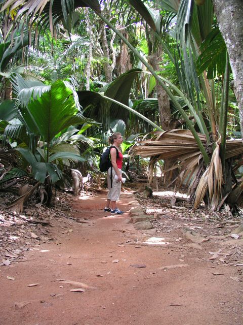 P1010233.JPG