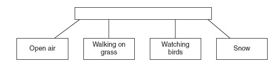 fig13.jpg