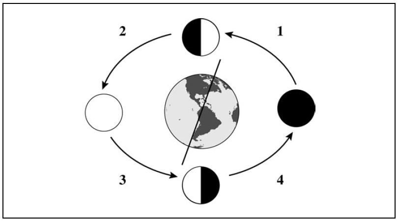 rotation.JPG