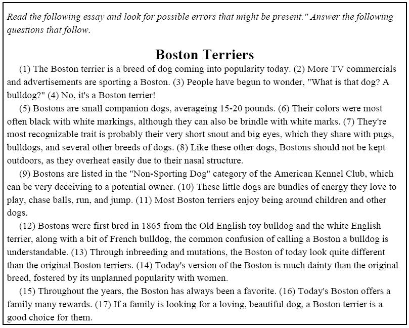 bostonterriers.JPG