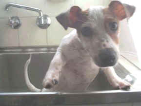 Bath time 