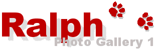 Photo Gallery 1