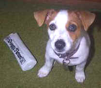 Ralph and his newspaper