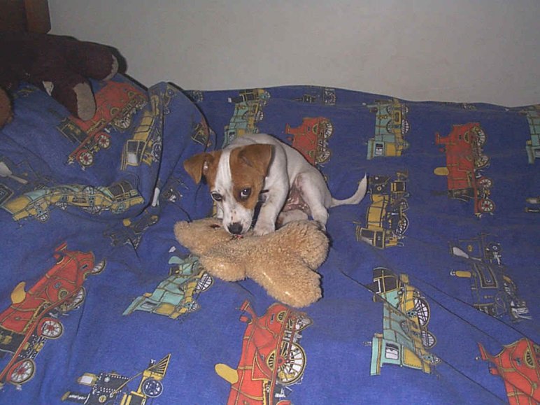 Playing with Flat-ted
