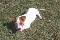 Sun baking...again