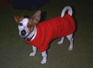 Me and my new jumper!