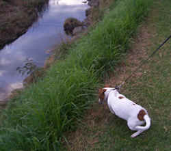 mmmmmmmm I just love long grass