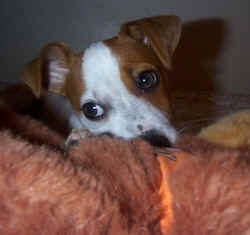 It's my teddy now...... i hope nobody finds me