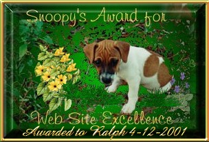 Snoopy Award
