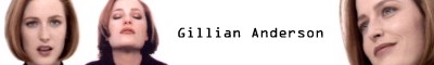 Visit my best friends website and you are on the right place if you are a Gillian Anderson Fan !!