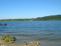 Lake Sammamish Park