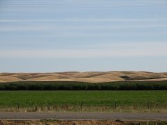 California Country Side