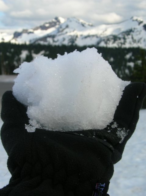 Mount Rainier