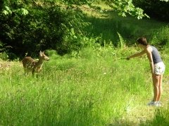 Babe and Deer