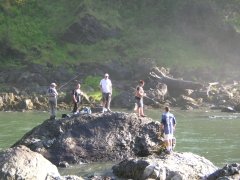 Fly Fishing