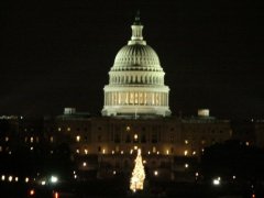 The Capitol