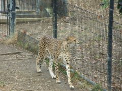 The National Zoo - Wildlife