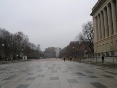 The Whitehouse