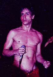 iggy8