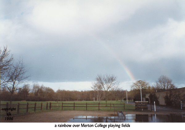 the rainbow over merton fields