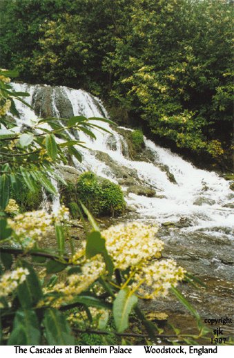 The Grand Cascade at Blenheim