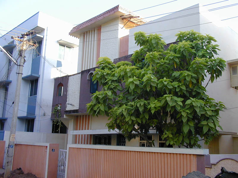 02frontview