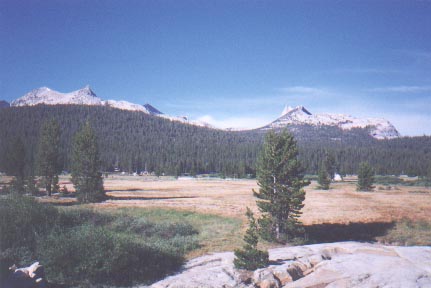 Tuolomne Meadows