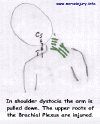 obstet2.gif (50502 bytes)