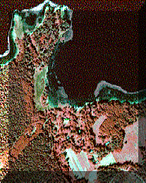 INFRA.gif (29111 bytes)