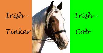 Irish Flag