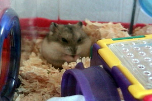 George is having a 'midnight' snack